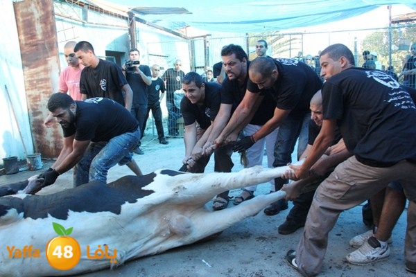 ada7y 116 n1 (21).JPG